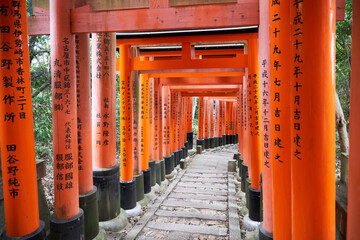 Japan, Honshu, Kyoto, Fushimi Inari-taisha, Torii japanese gates