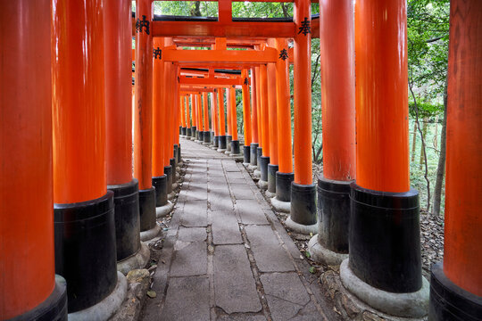 Japan, Honshu, Kyoto, Fushimi Inari-taisha, Torii japanese gates