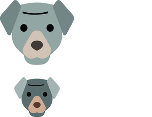 cute puppy dog
