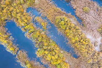 Fototapeta na wymiar Fall landscape. Aerial view on swamp. Lungs of the nature. Small lakes. 