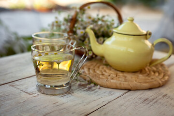 fresh chamomile tea in glass cups