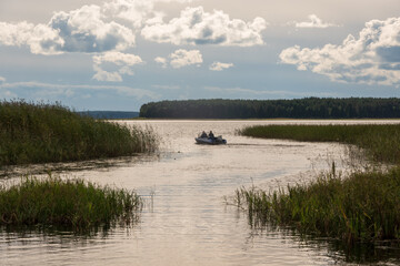 A boat with a motor goes out to the vastness of the lake from a narrow, winding passage between the reeds. There are textured clouds in the sky. On the horizon is a forest on the other side.