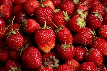 Background from organic strawberry. Close up, top view. Harvest concept.