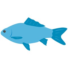 Vector illustration, isolated fish on a white background. Simple flat style.