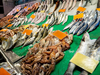 Fish shop, mixed type fish and fish stands
