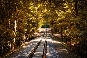 Railroad single track through the woods in autumn. Fall landscape. red semaphore signal, sunlight