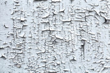 Old cracked white paint peeling off from wooden wall texture background