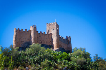 Fototapeta na wymiar The Medieval Castle of Almourol - Portugal