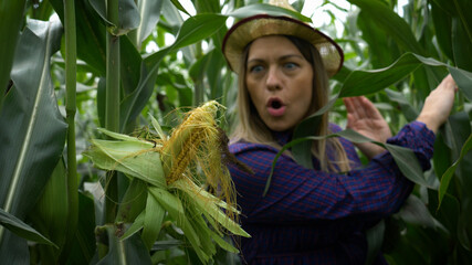 Closeup of young woman farmer at corn harvest. Girl between green leaves in a corn field.