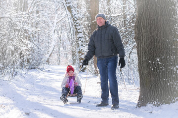 Fototapeta na wymiar A man rides a little girl on a sled in the winter forest. Grandfather takes his granddaughter on a sled through a snow-covered Park. Active family holidays for adults and children.