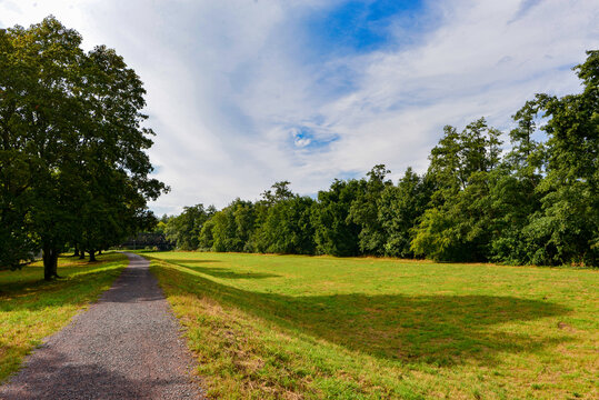Naturschutzgebiet Bulau in Hanau-Hessen	