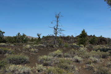 Idaho