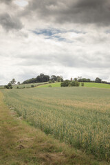 Fototapeta na wymiar landscape image of tysoe windmill in Warwickshire England