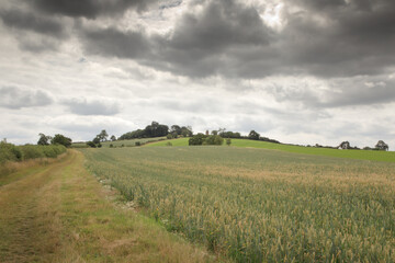 landscape image of tysoe windmill in Warwickshire England