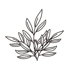 branches foliage leaves decoration nature isolated icon line style