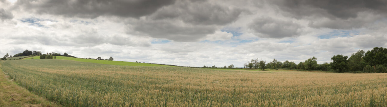 landscape image of tysoe windmill in Warwickshire England