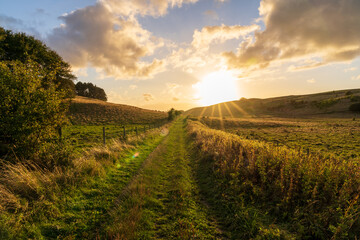 Naklejka premium Pathway on rural countryside during golden hour in south Sweden. Autumn background.