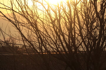 Obraz premium Atardecer en el campo