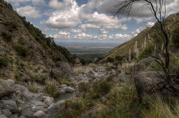 Forested mountain slope in low lying cloud of scenic landscape view with a trail of meltwater running through big rocks