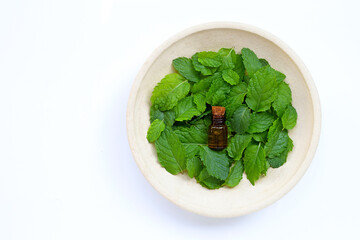 Essential oil bottle with fresh mint leaves on white background.