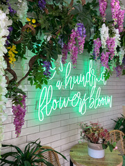 Porto / Portugal - August 25, 2020: The beautiful Camelia Brunch Garden in Porto. 