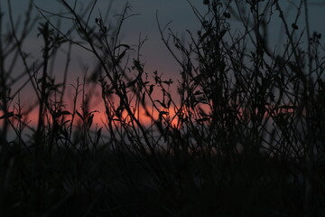 Atardecer