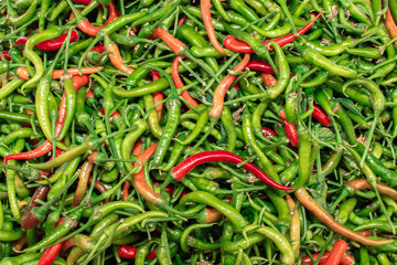 different types of green and red peppers