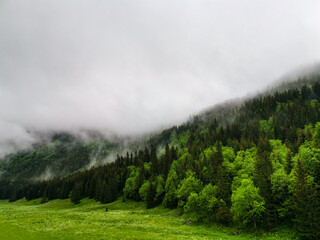 The Small Meadow Valley - Tatry - Zakopane