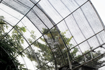 Arched steel frame in the garden.