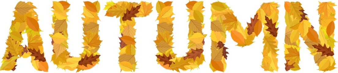 Word Autumn With Colourful Letters Autumnal Leaves