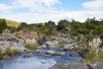 Gran paisaje natural de río pedregoso