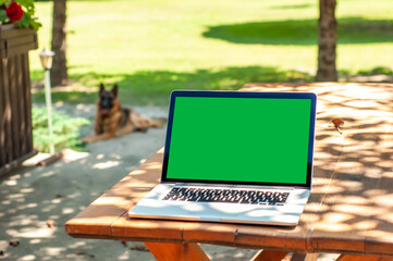 View on a laptop pc with a green screen on a table in the garden