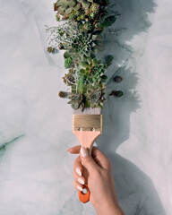 Painting brush with paint made of Sempervivum succulent plants. Creative flat lay. Direct sunlight,...