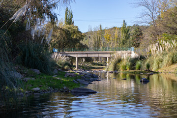 Fototapeta na wymiar Bridge over a river and trees