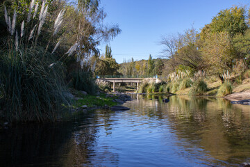 Bridge over a river and trees