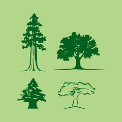 Tree silhouette
cedar sequoia, others