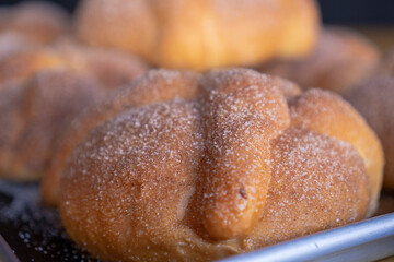 Exquisite traditional pan de muerto or bread of dead with bottom of bread of dead.