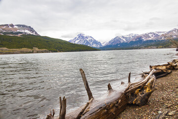 Fototapeta na wymiar Lake view and mountain background at Glacier National Park