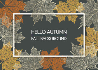 Autumn background with skeleton maple leaves. Frame made of fall leaves. Vector illustration