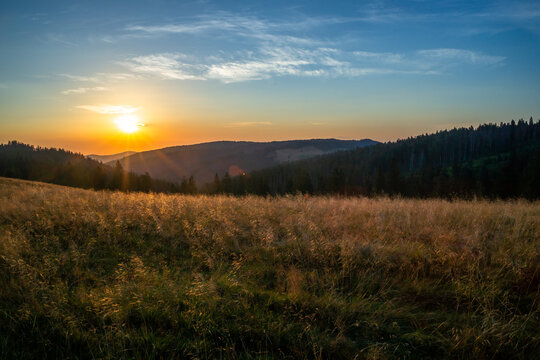 Gorce, złocisty poranek na Turbaczu © Piotr Szpakowski