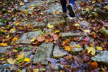Obraz premium walking through autumn leaves on a rocky ground