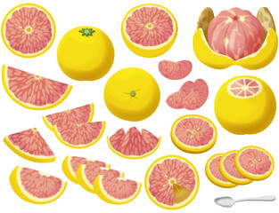 色々なピンクグレープフルーツ