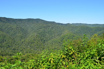 Naklejka premium Montana's