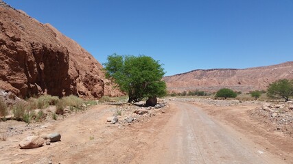 landscape in the desert atacama chile 