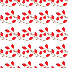 Rose hip. Autumn seamless patterns. 