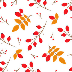 Rose hip. Autumn seamless patterns. 