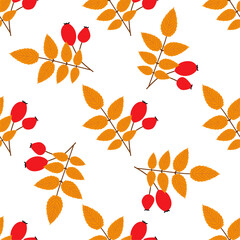 Rose hip. Autumn seamless patterns. 