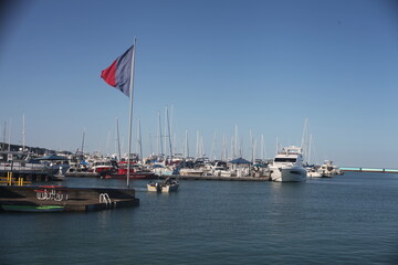 boats in the harbor
