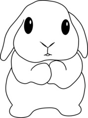 vector chubby holland lop rabbit standing line drawing