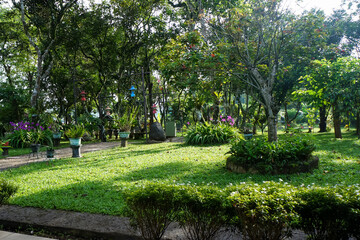 Obraz premium park in the park